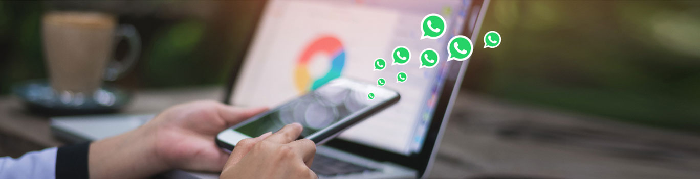 Whatsapp For Business ITMATIC