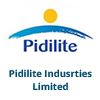 Pidilite ITMATIC